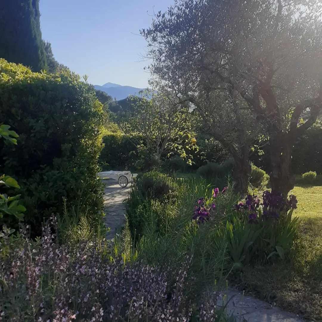 Les Verveines De Vaison Exterior photo